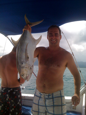 Yellow fin jack Yellow fin jack